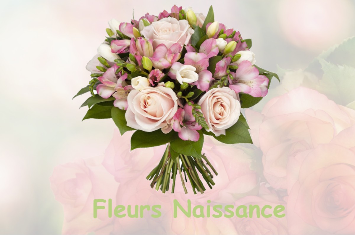 fleurs naissance SAINT-YAGUEN