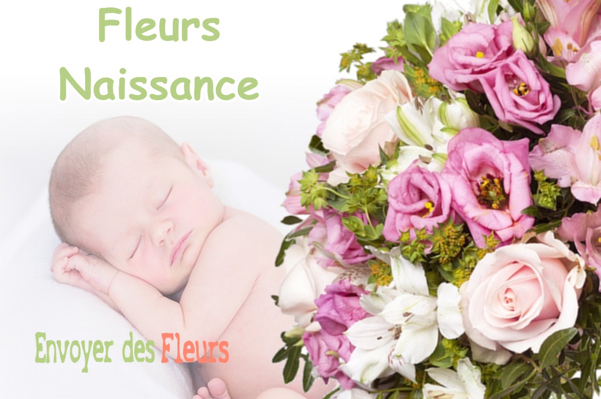 lIVRAISON FLEURS NAISSANCE à SAINT-YAGUEN